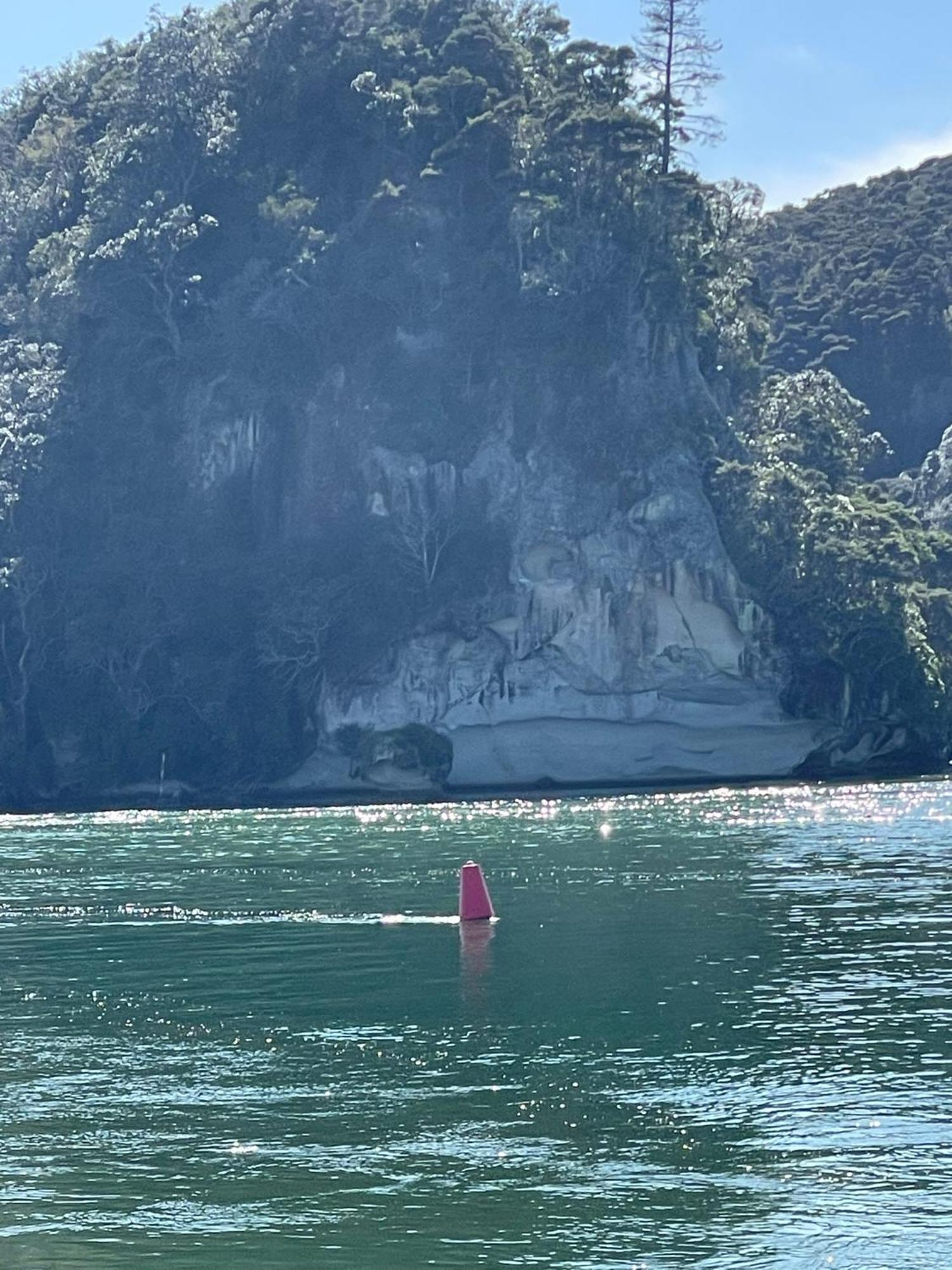 Willa Make Memories At Cook Drive Whitianga Zewnętrze zdjęcie